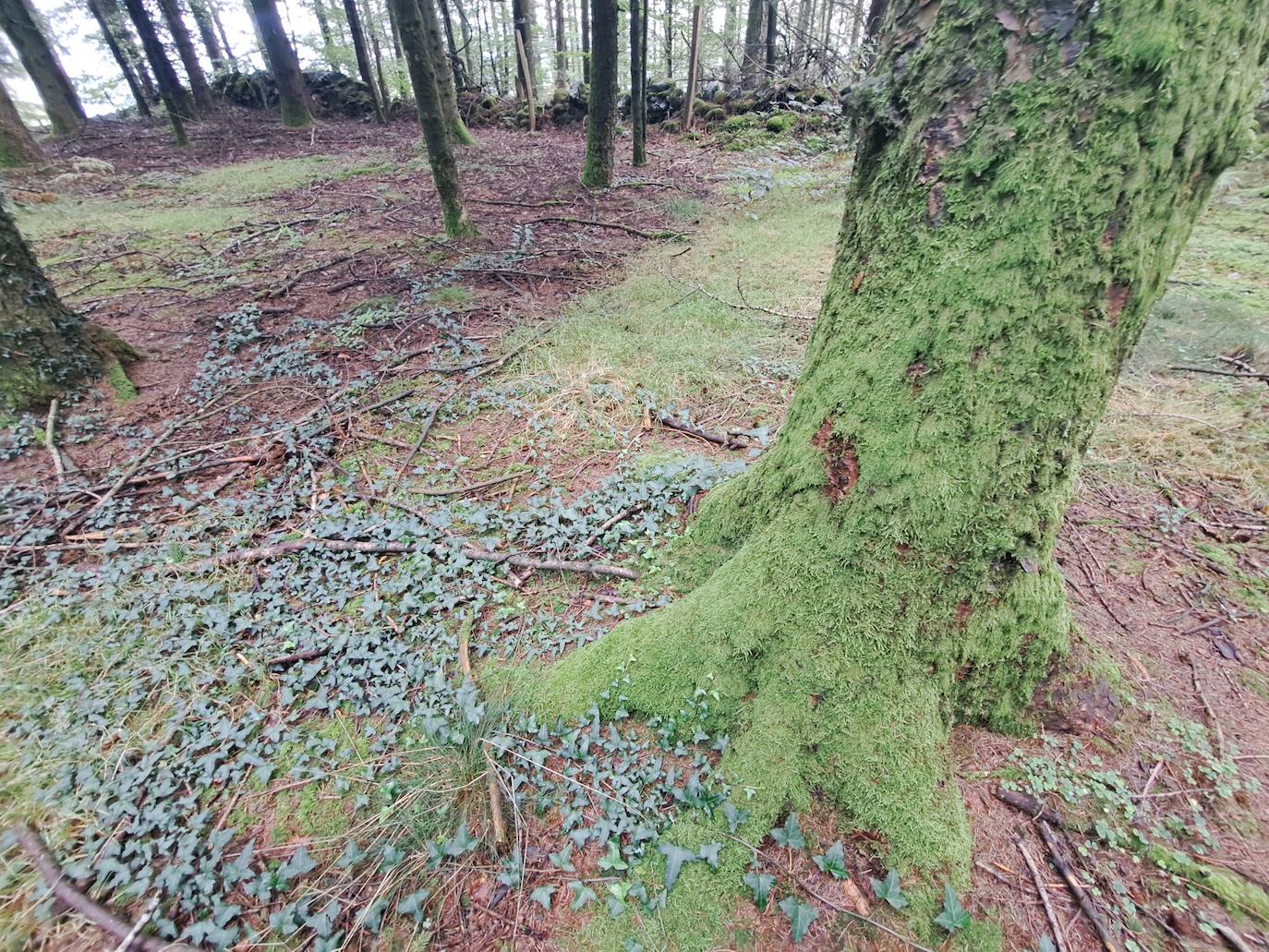 Urraki, un paisaje para disfrutar en Otoño