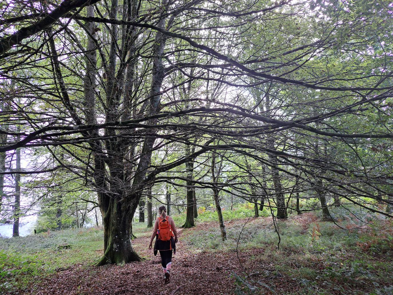 Urraki, un paisaje para disfrutar en Otoño