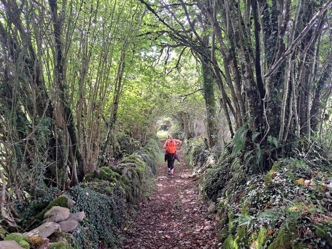 Urraki, un paisaje para disfrutar en Otoño