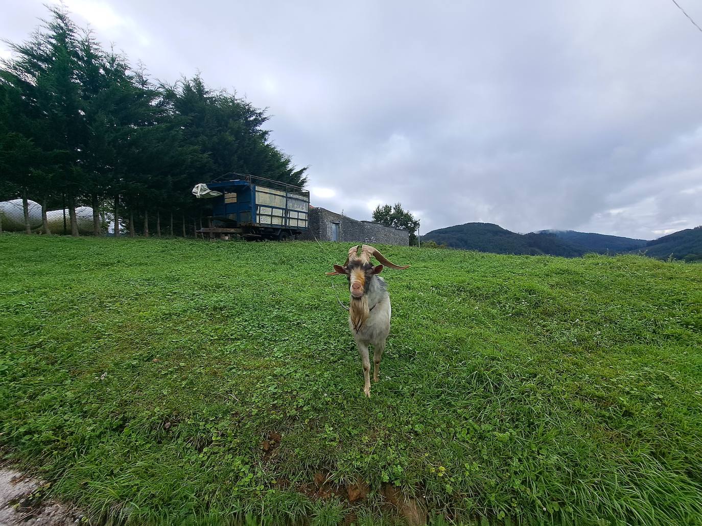 Urraki, un paisaje para disfrutar en Otoño