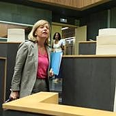 Mendoza confía en avanzar en el conflicto del Alarde de Hondarribia