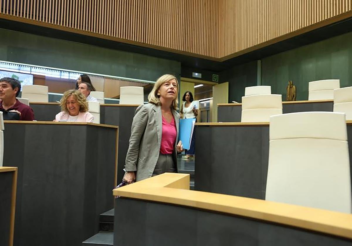 Eider Mendoza, en el pleno de las Juntas de Gipuzkoa.