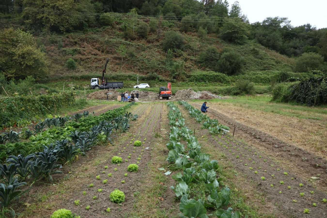 Desentierro del cachalote de Zarautz