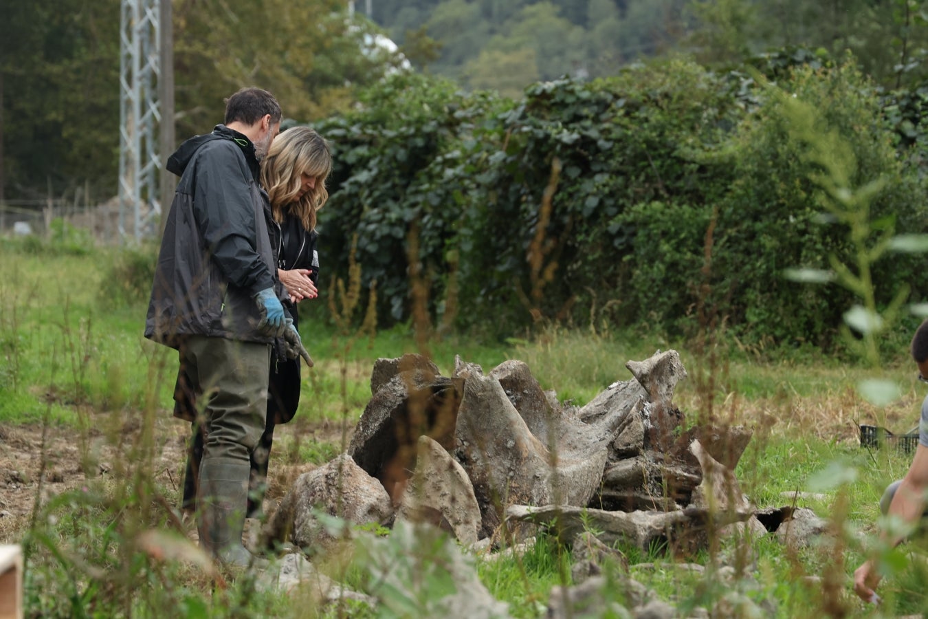 Desentierro del cachalote de Zarautz