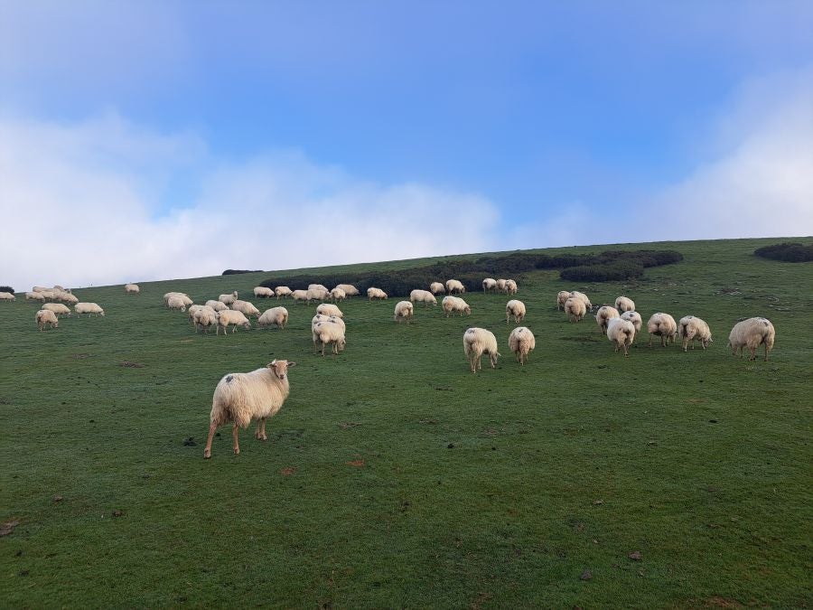 Impresionantes vistas desde la cima Ttuntturre