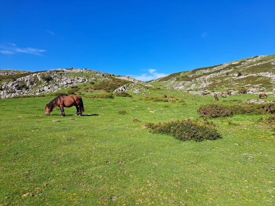 Impresionantes vistas desde la cima Ttuntturre