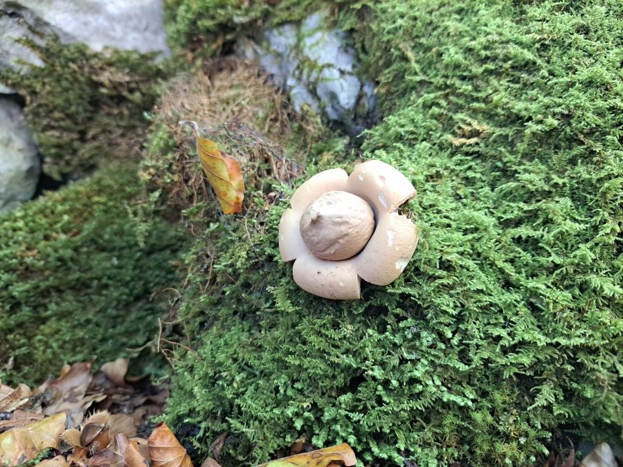 Impresionantes vistas desde la cima Ttuntturre