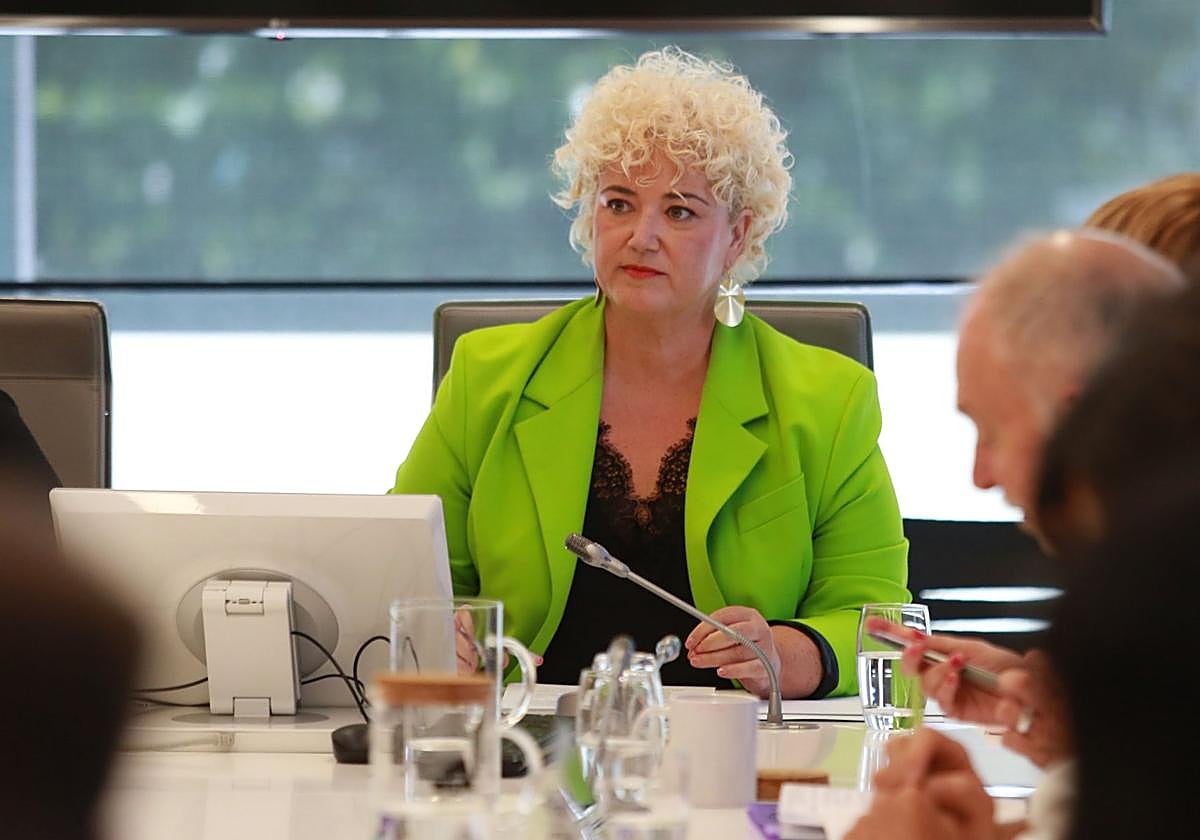 Maite Peña, ayer en la comisión de Cuidados y Políticas Sociales.