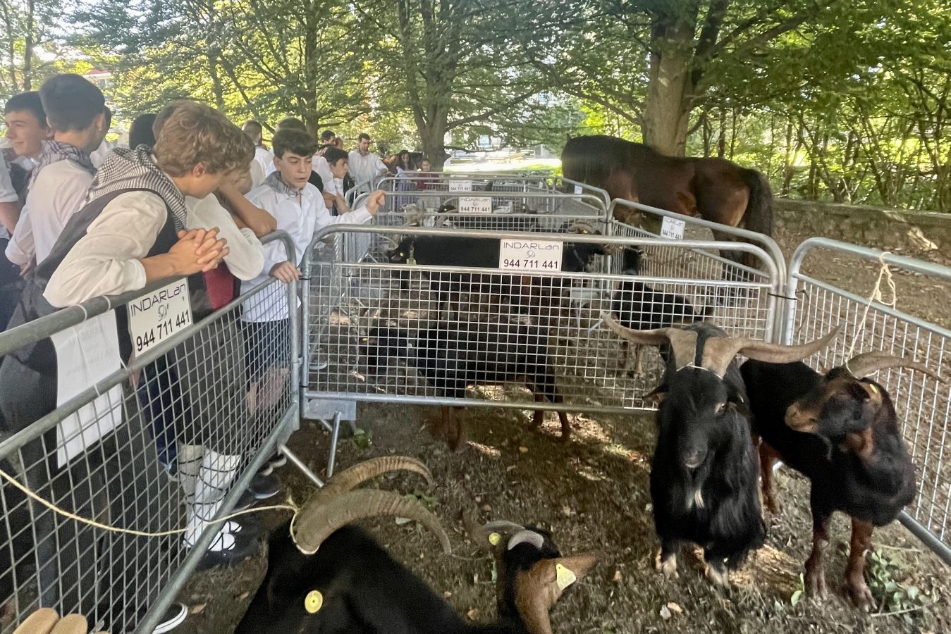 Las cuadrillas y familias viven un animado Herri Eguna