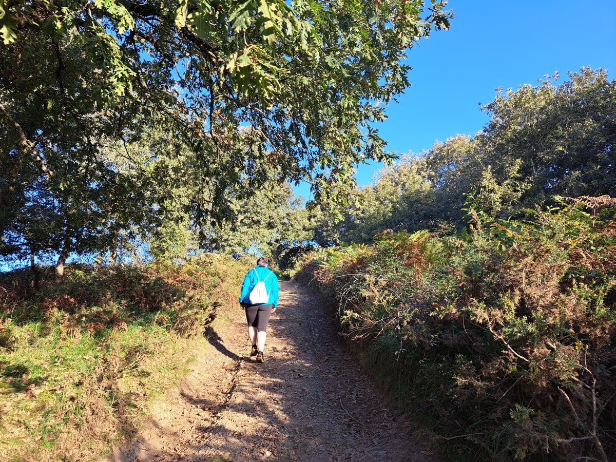 Descubriendo Aiztondo