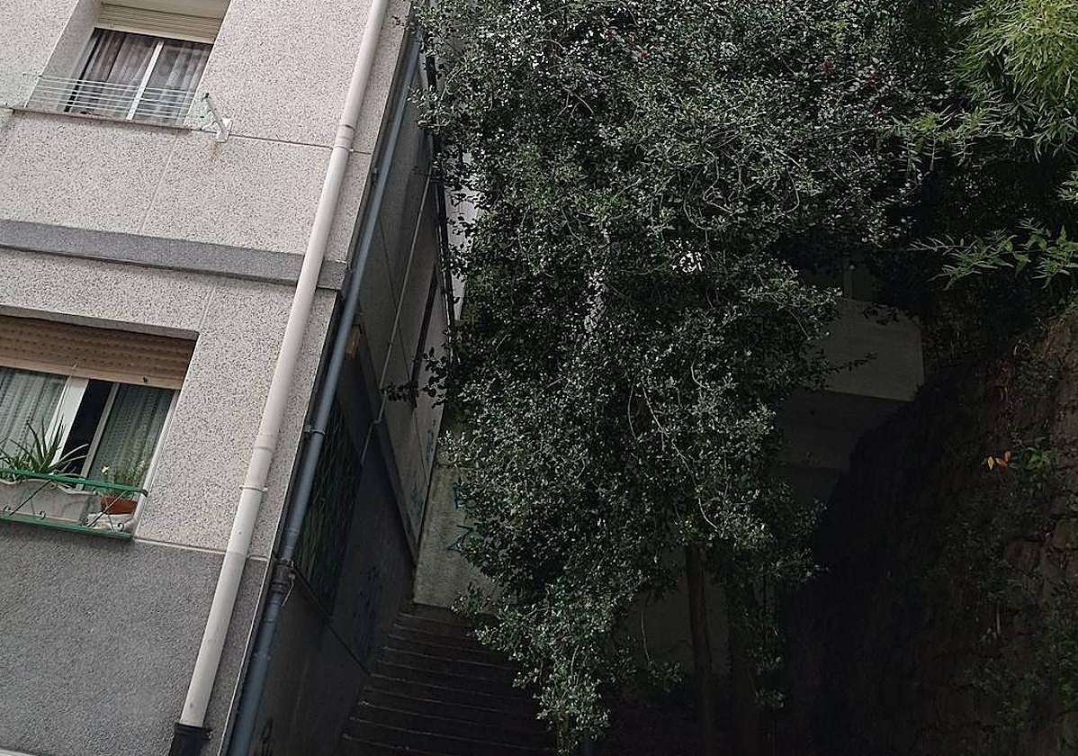 El lecto Javier Poyales escribe: «En la calle Baztan 13 de Egia hay un árbol cuyas mas chocan con el edificio y lo sobrepasan por la esquina. La zona, con escaleras, es una zona muy concurrida por la gente del barrio, ya que da acceso a la calle Konkorrenea. Hablamos de un punto negro muy poco iluminado y oscuro».
