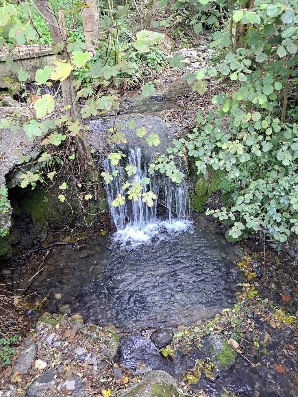 Uzturre, la cima de Tolosaldea