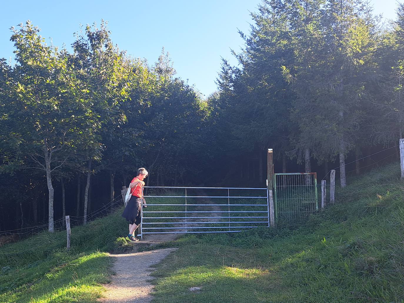 Uzturre, la cima de Tolosaldea