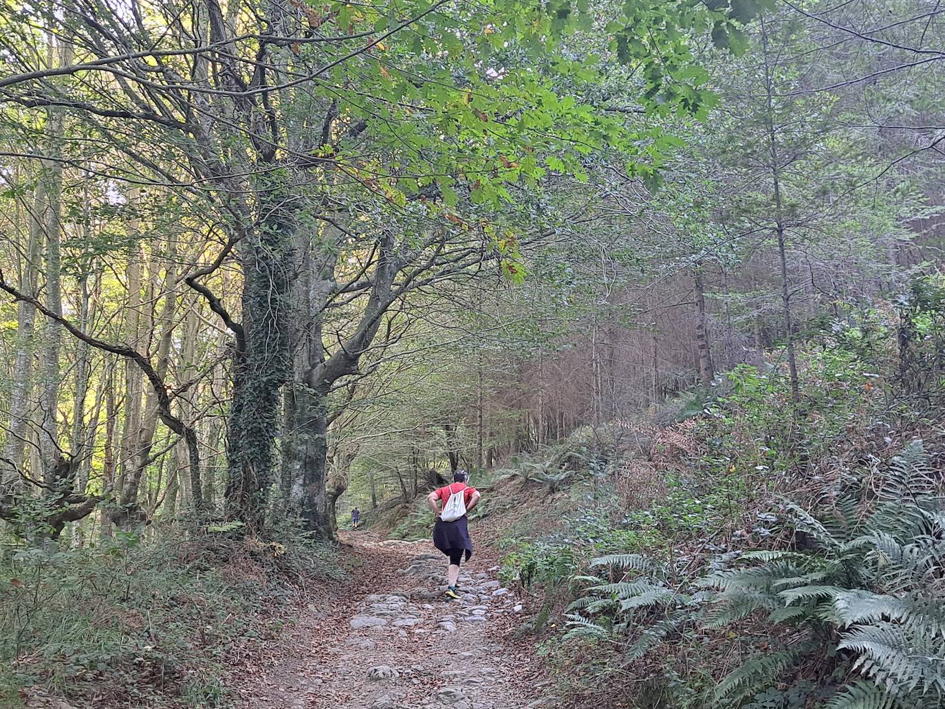 Uzturre, la cima de Tolosaldea