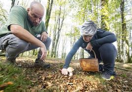 Ibon Ostolaza indica cómo debe cortarse un hongo. El guarda de Artikutza ofrece información a los senderistas de la finca.