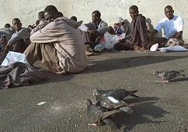 Inmigrantes son fotografiados sentados, tras su llegada a la isla española de Gran Canaria, en las Islas Canarias.