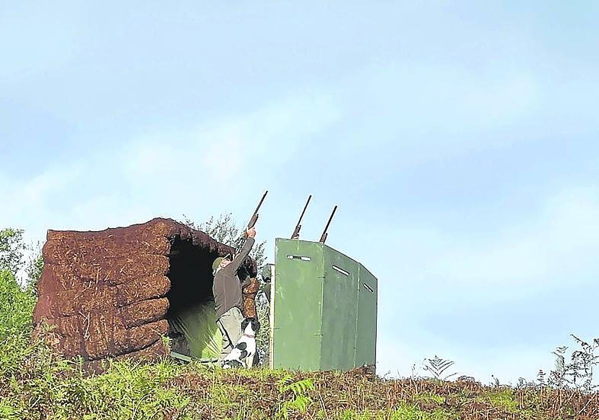 Imagen principal - Etxalar celebra su Día de Palomeras