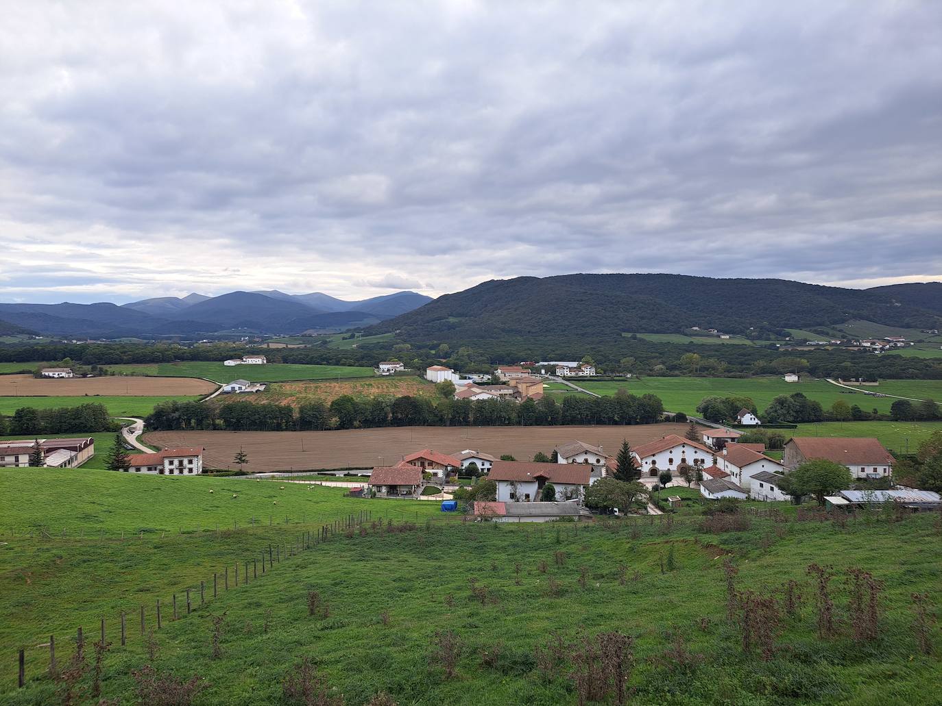 Arraldegaña, una cima oculta por robles centenarios en Navarra