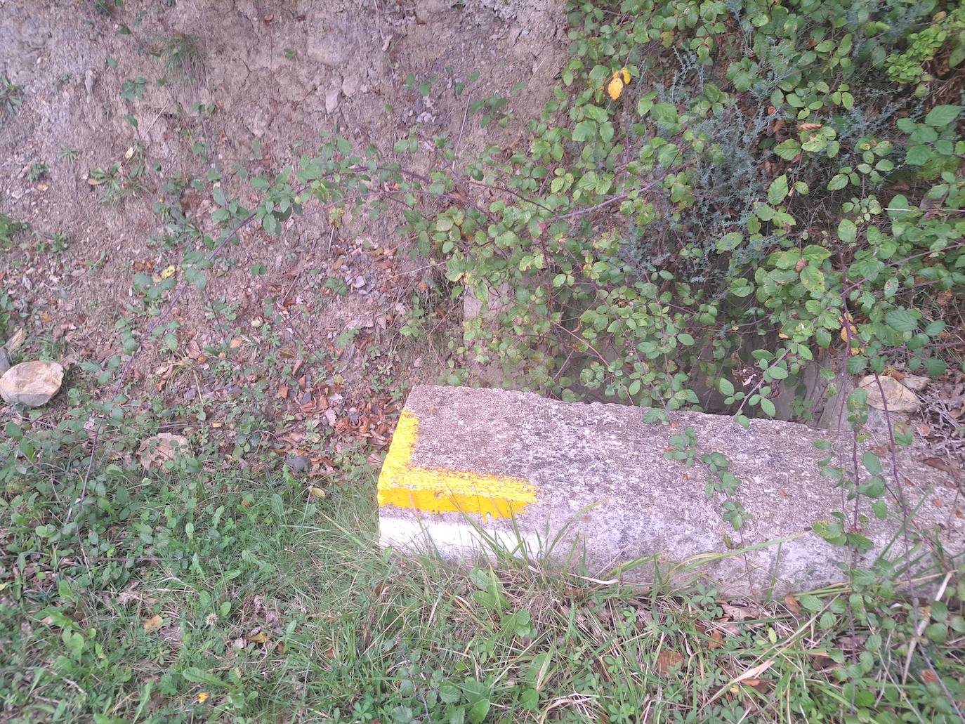 Arraldegaña, una cima oculta por robles centenarios en Navarra