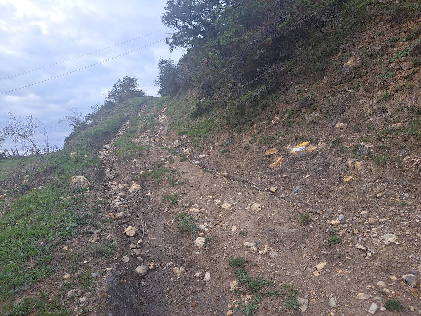 Arraldegaña, una cima oculta por robles centenarios en Navarra