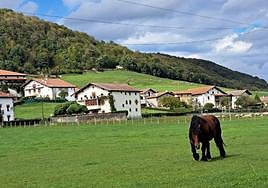 Arraldegaña, una cima oculta por robles centenarios en Navarra