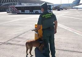 Delegación del Gobierno en el País Vasco
