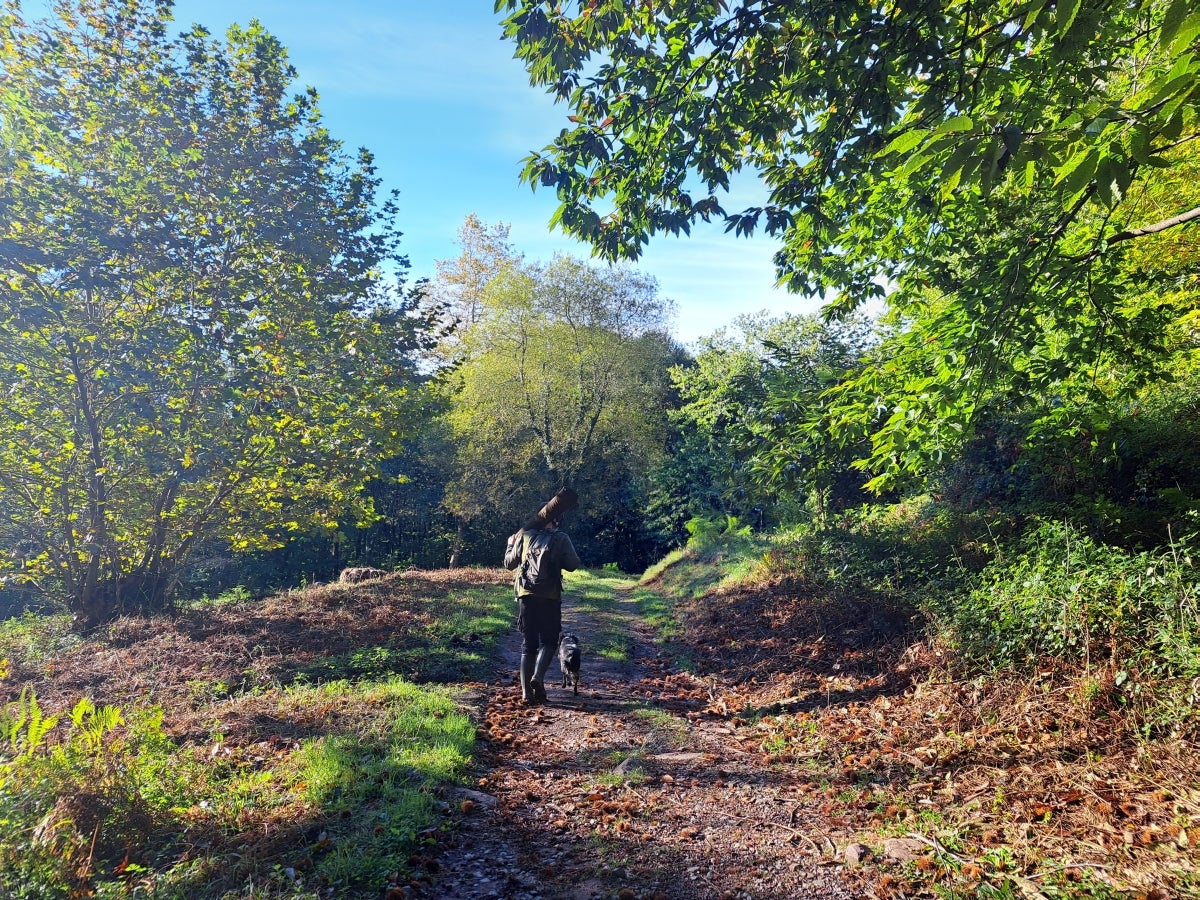 La ruta hasta Igoin, en imágenes