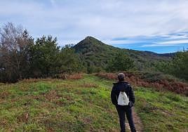 Al fondo, entre el poblado bosque de robles, castaños y otros muchos árboles se encuentra la cima de Igoin
