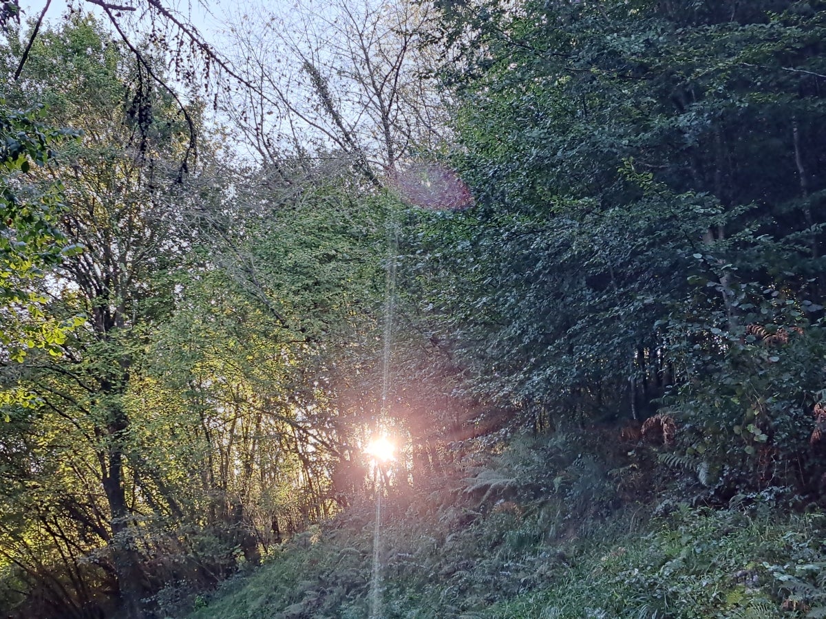 La ruta hasta Igoin, en imágenes