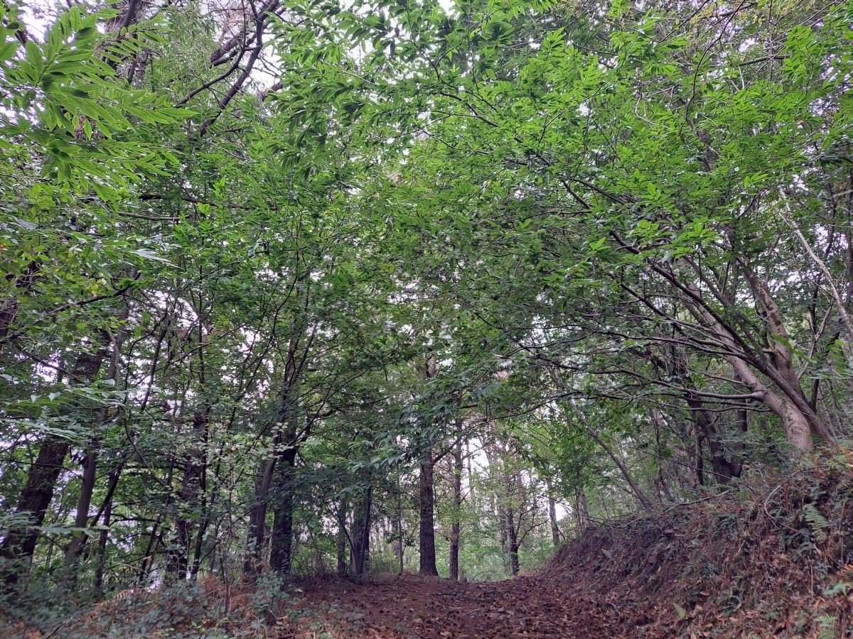 La ruta hasta Igoin, en imágenes