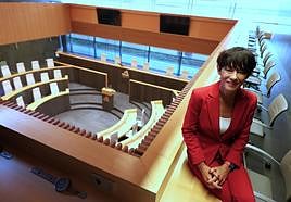 Maddalen Iriarte, portavoz de EH Bildu en las Juntas Generales de Gipuzkoa, en la Cámara territorial tras la entrevista.