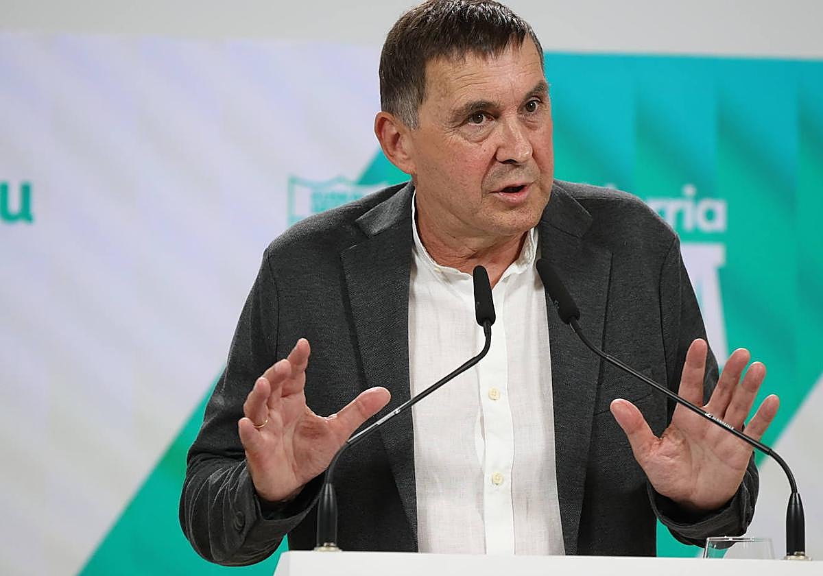Arnaldo Otegi, coordinador general de EH Bildu.