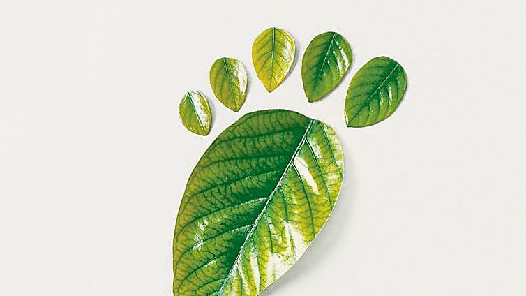 Súmate al Fondo de Carbono Voluntario de Gipuzkoa