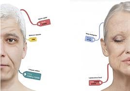 ¿Cuánto cuesta alargar la vida?