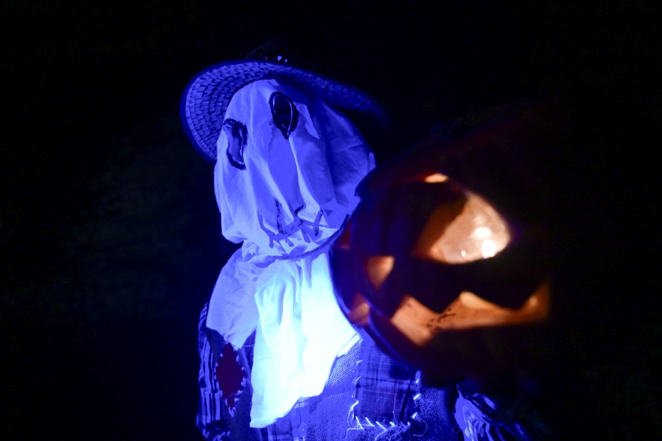 Un recorrido terrorífico por el parque Elosegi