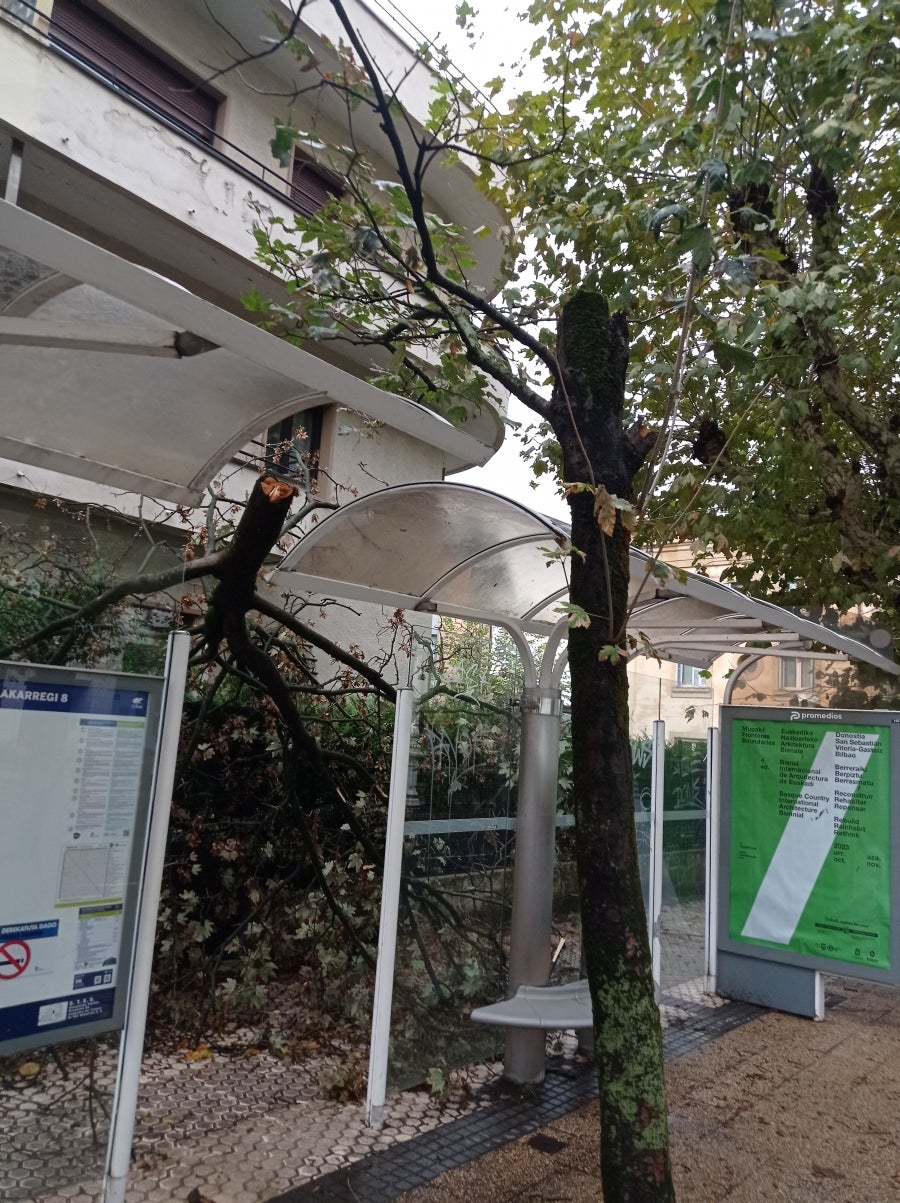 La huella de la borrasca Ciarán en Gipuzkoa