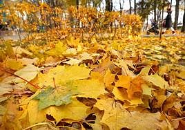 Los mejores planes en Gipuzkoa para disfrutar del fin de semana