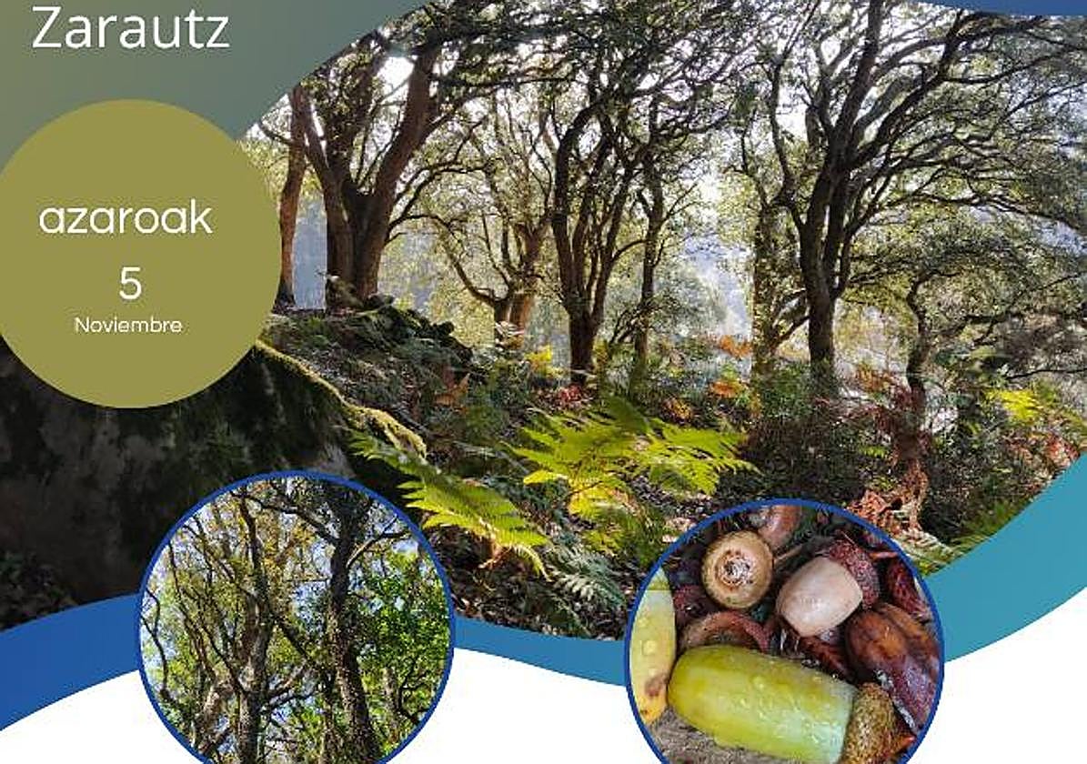 Dos actividades para disfrutar del anillo verde-azul también en otoño