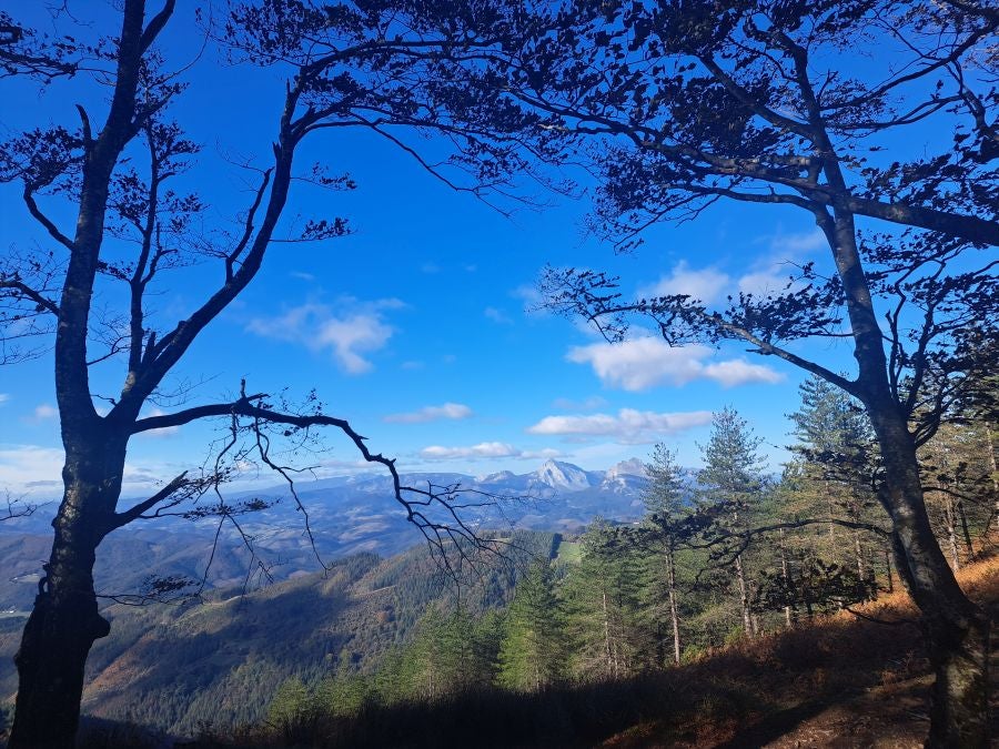 Gorostiaga: un bonito paseo por los montes de Legazpi