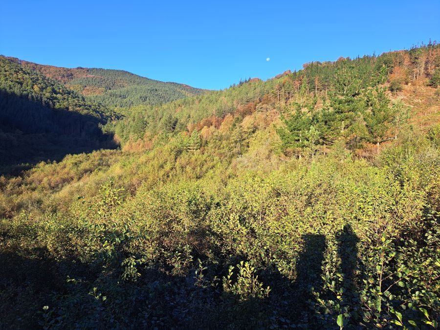 Gorostiaga: un bonito paseo por los montes de Legazpi