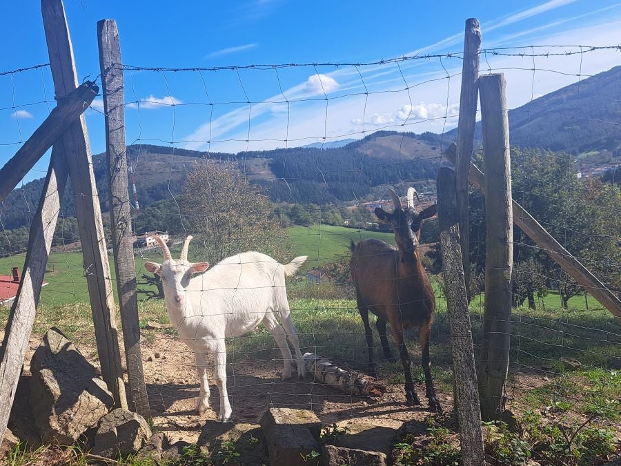 Gorostiaga: un bonito paseo por los montes de Legazpi
