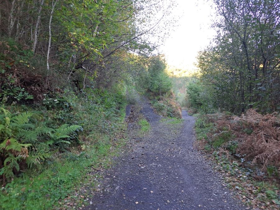 Gorostiaga: un bonito paseo por los montes de Legazpi