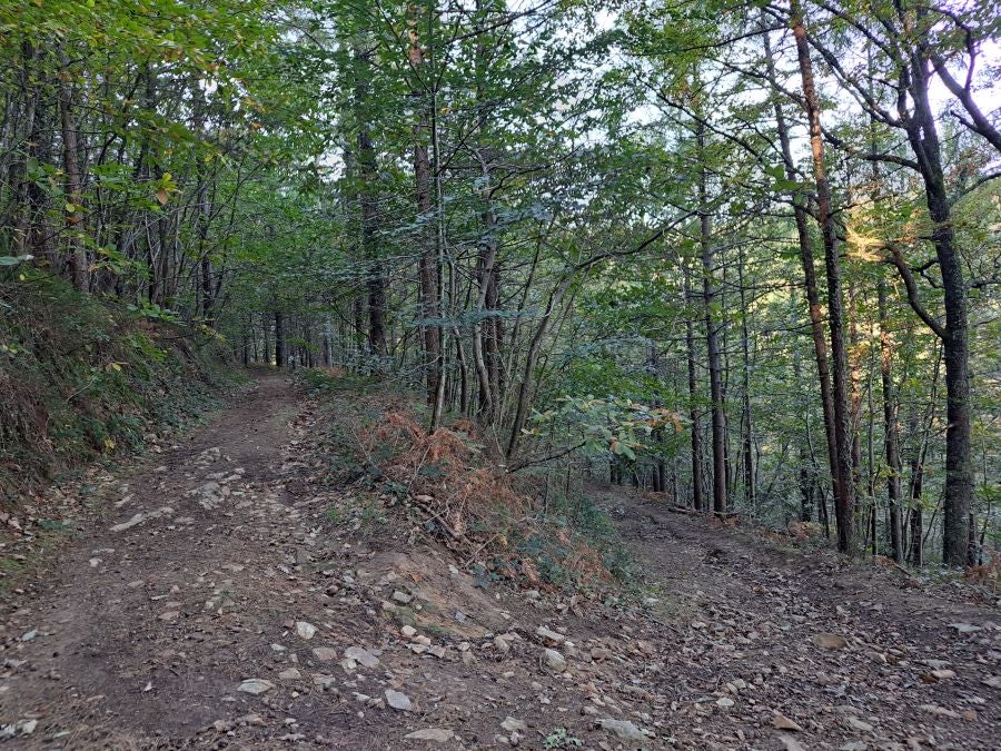 Gorostiaga: un bonito paseo por los montes de Legazpi