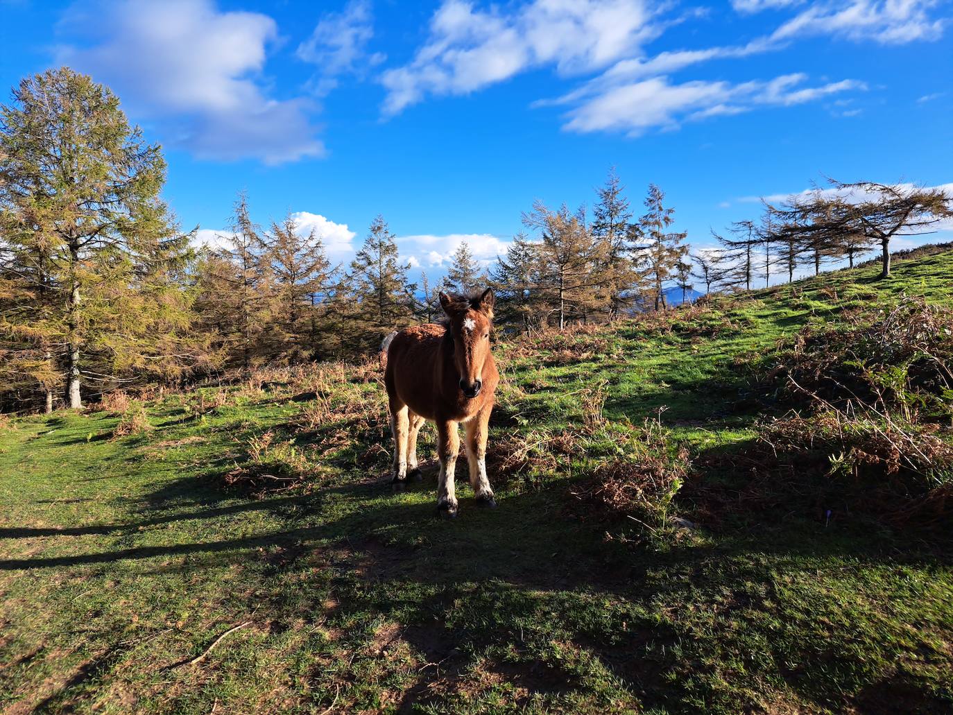 Las mejores imágenes de la excursión a Gazume