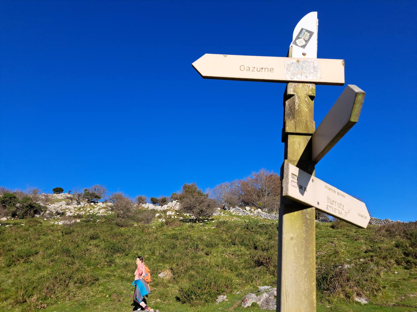 Las mejores imágenes de la excursión a Gazume