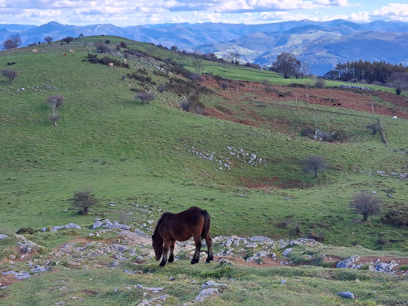 Las mejores imágenes de la excursión a Gazume