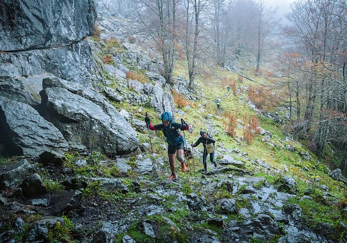 Imagen principal - Mariren kobak lotzeko zailtasun ugari