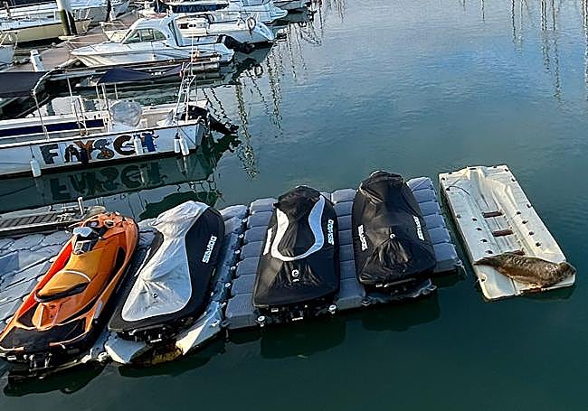 La foca ha descansado en un aparcamotos de agua en el puerto de Zumaia.