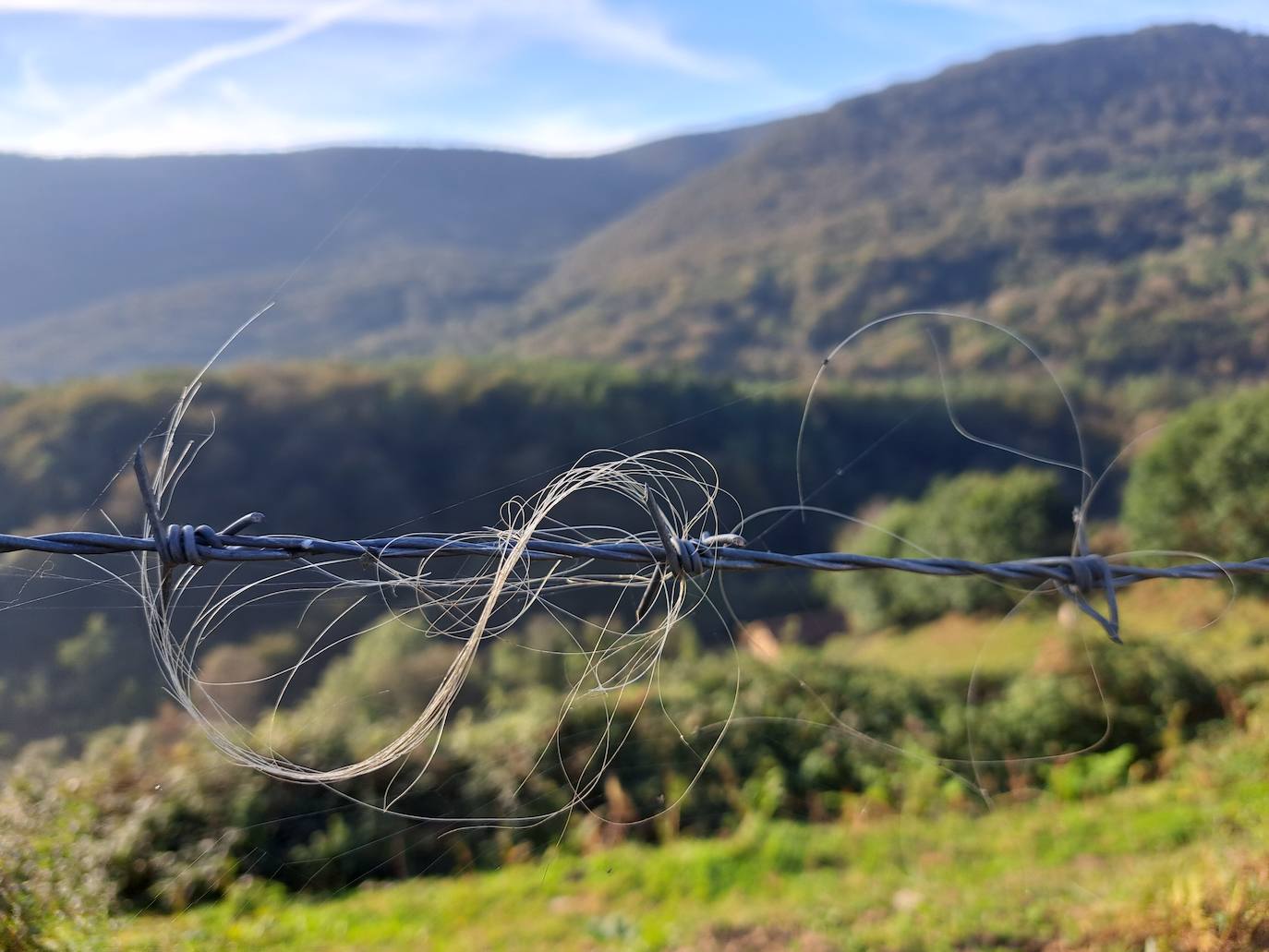 Urepel, el monte silencioso