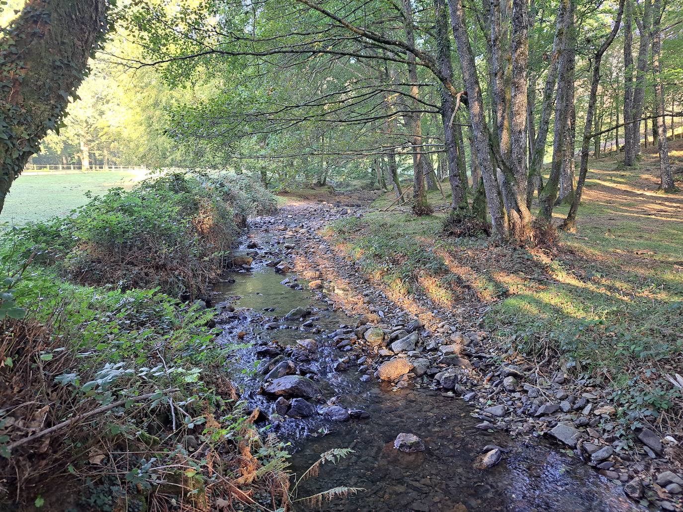 Urepel, el monte silencioso